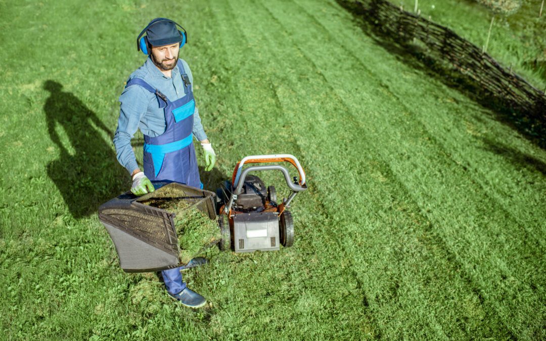 7 Signs You Need Professional Lawn Care Service 