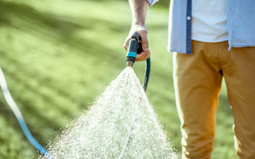 Is It Better To Water Your Lawn In The Morning Or The Evening?