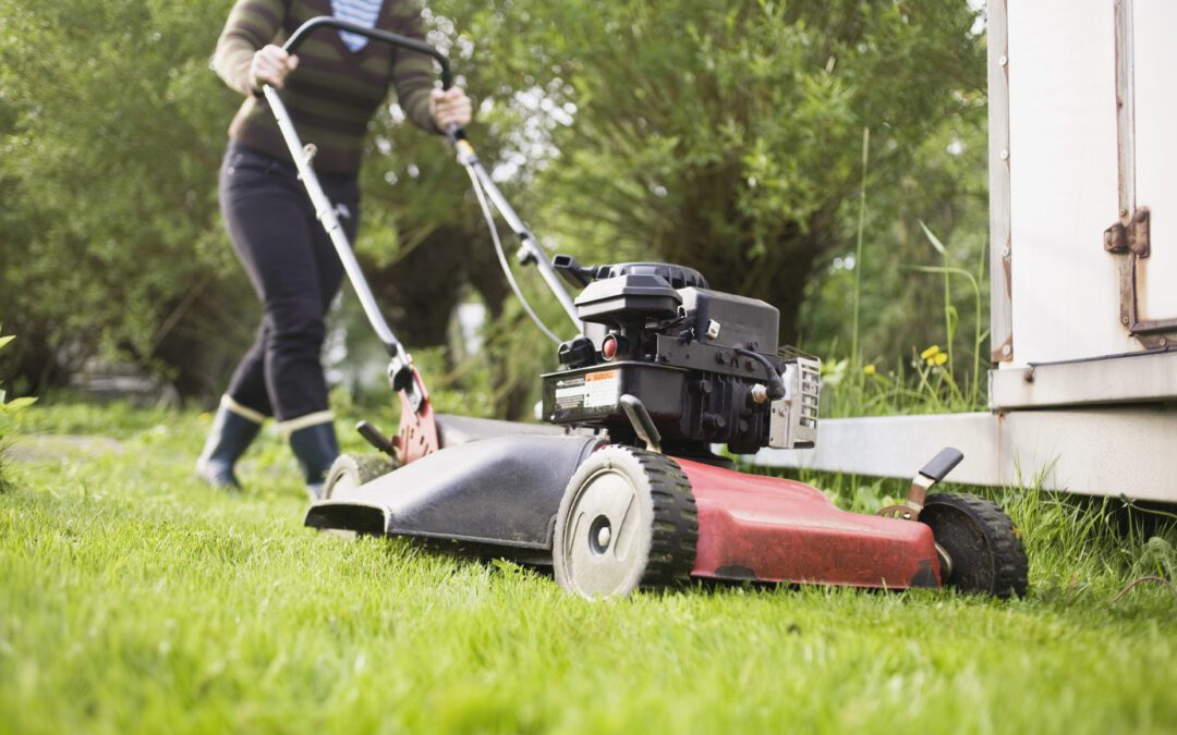 How Often Should A Lawn Be Mowed?