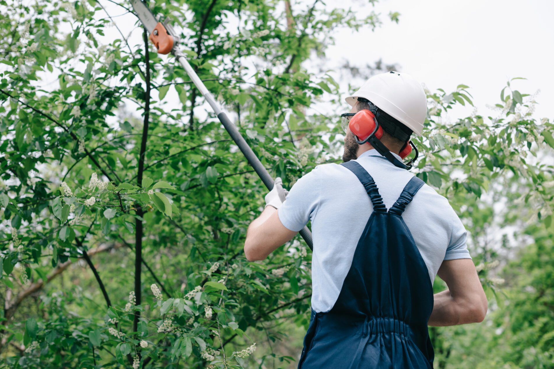 Best Tree Trimming Service - My-neighbor-services