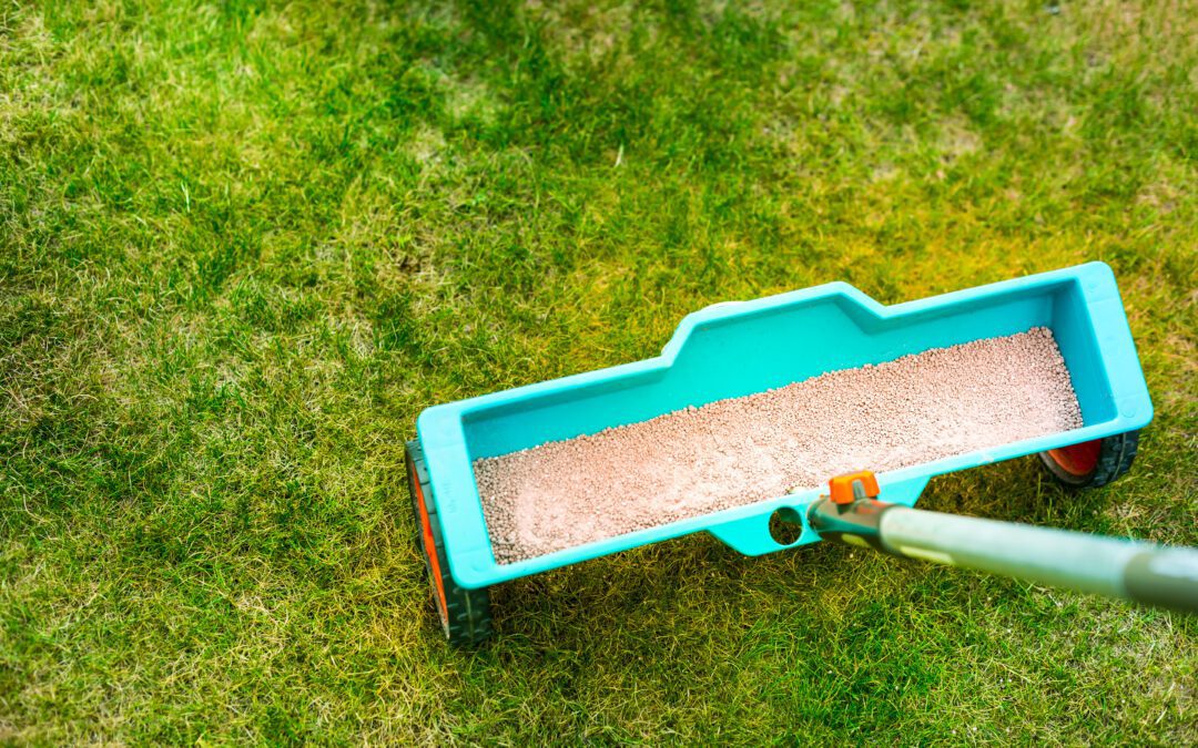 Healthy Lawn Care Tips From The Experts