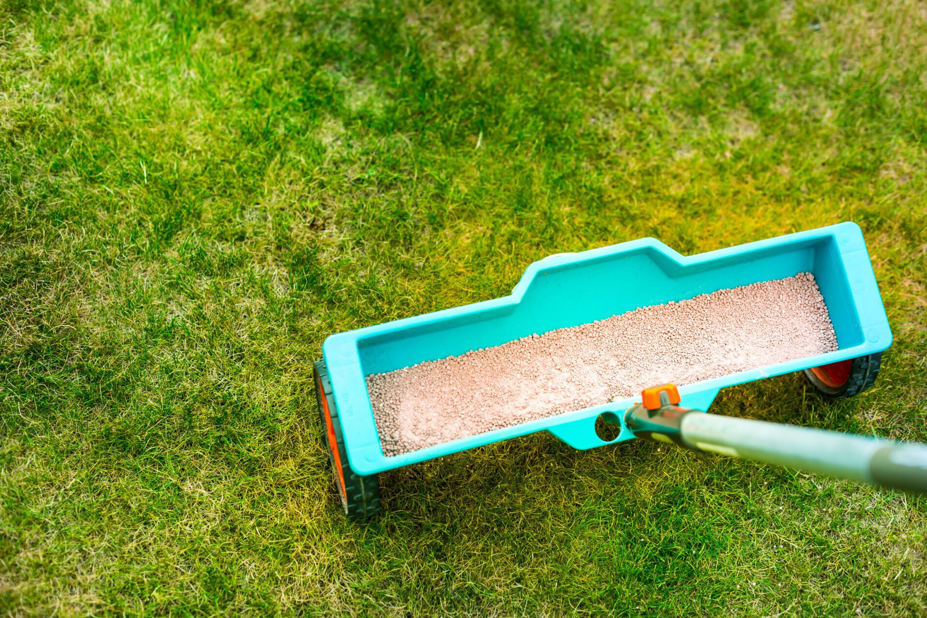 Healthy Lawn Care Tips From Experts - My Neighbor Services