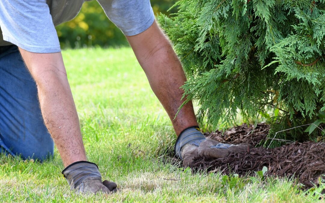 The Benefits of Mulching Vegetation in Your Landscape