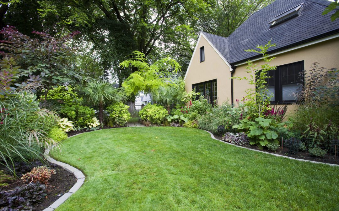 Making the Best of Your Landscaping Space