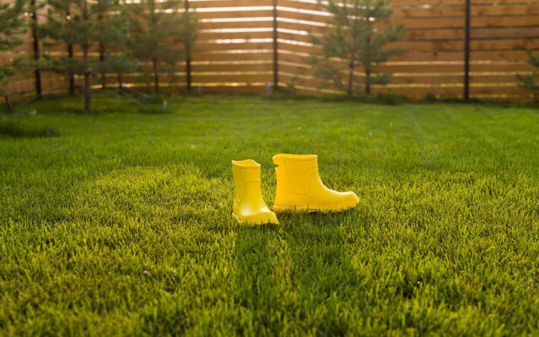 Springtime Lawn Care: How to Get Your Yard Ready for Spring