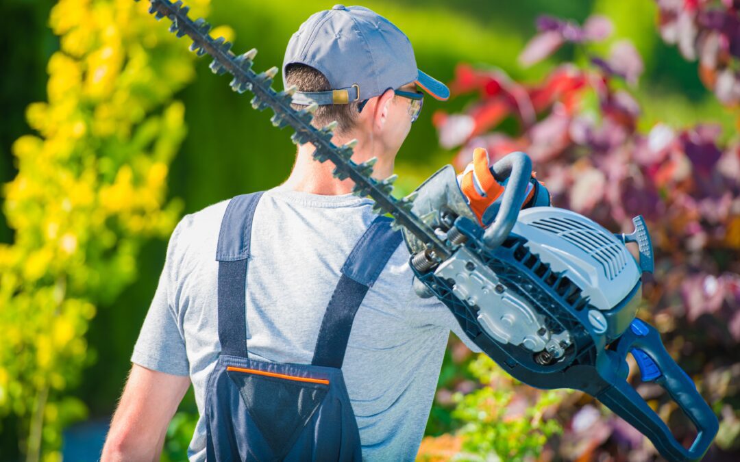 Trimming Your Yard with a Bush Trimmer