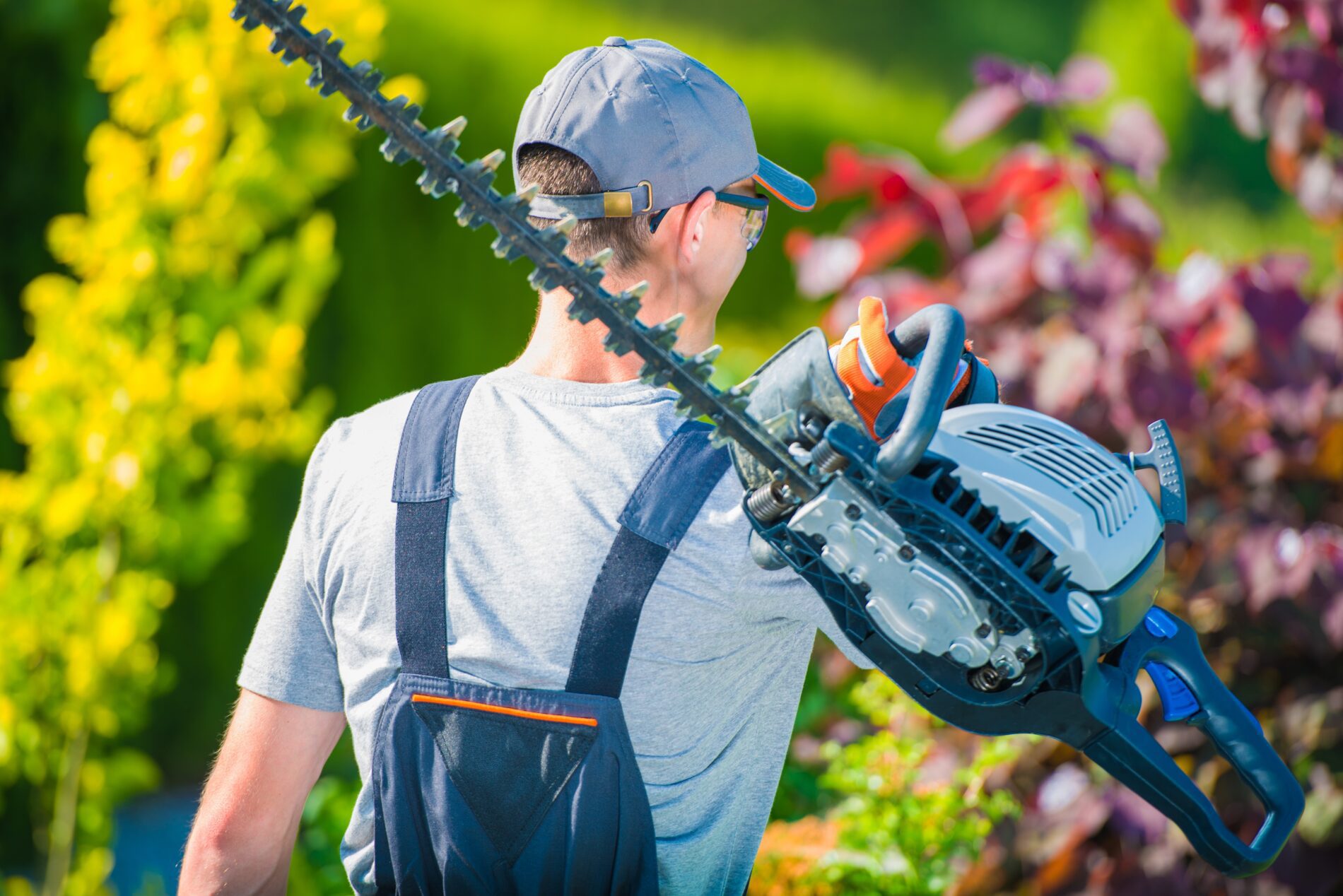 4 Best Tips on How to Use Bush Trimmer My Neighbor Services