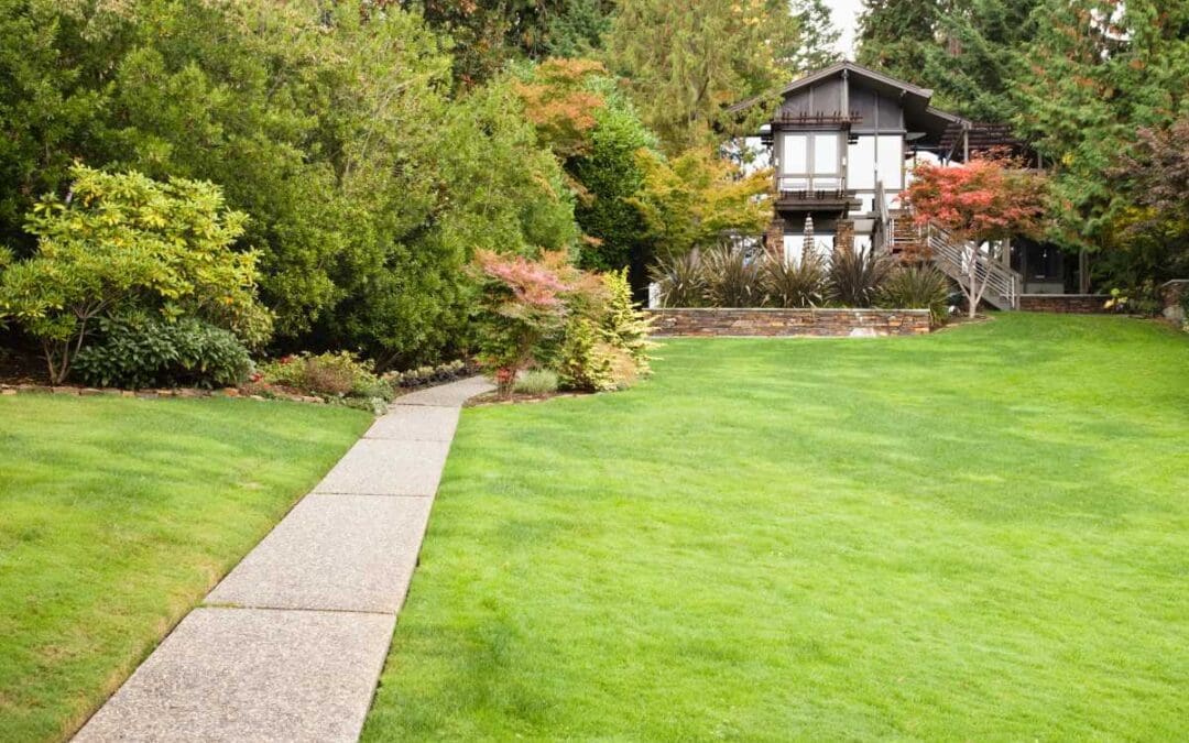 Lawn Mowing 101: The Basics of Making a Lawn Perfect