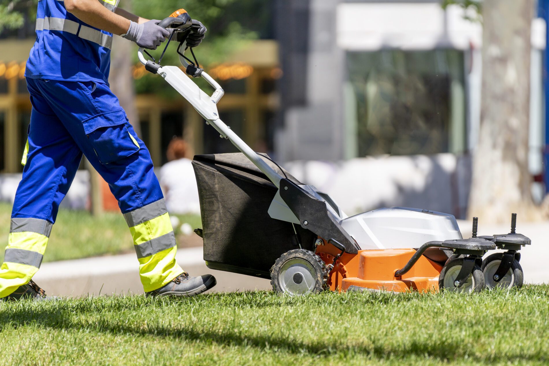 Reliable Lawn Mowing Service My Neighbor Services