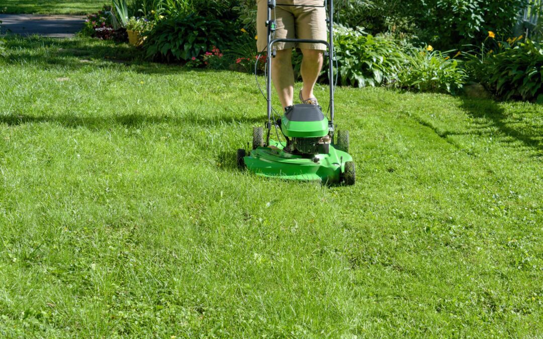 5 Tips For Improving Lawn Care