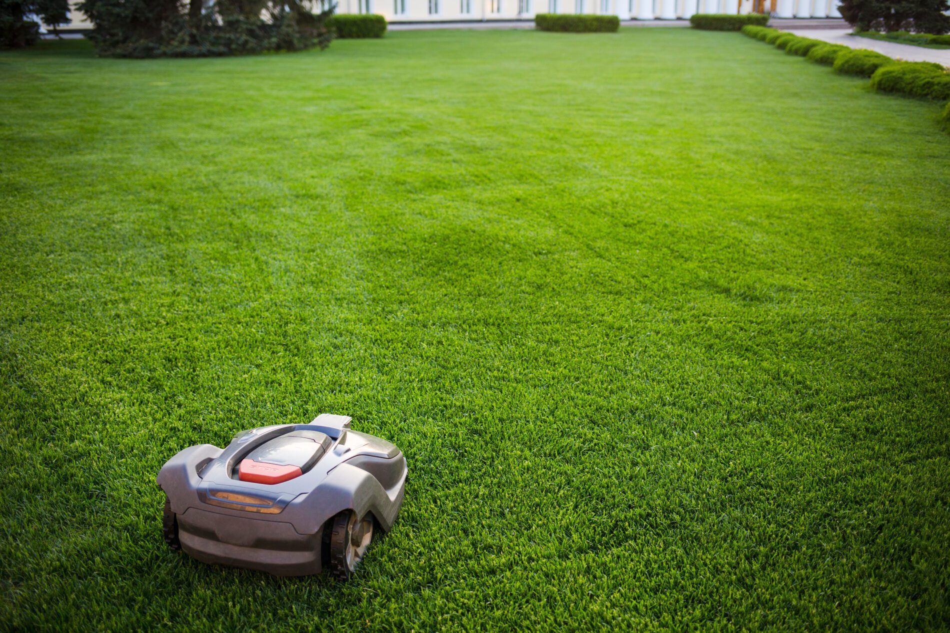 View of 5 Tips: For Maintaining A Healthy Lawn Area In The Heat