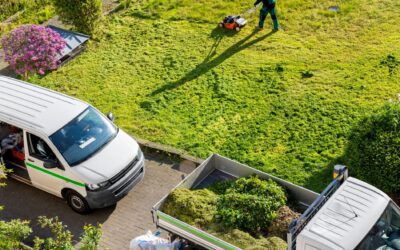 Plano Clay Soil Lawn Care Tips That Actually Help