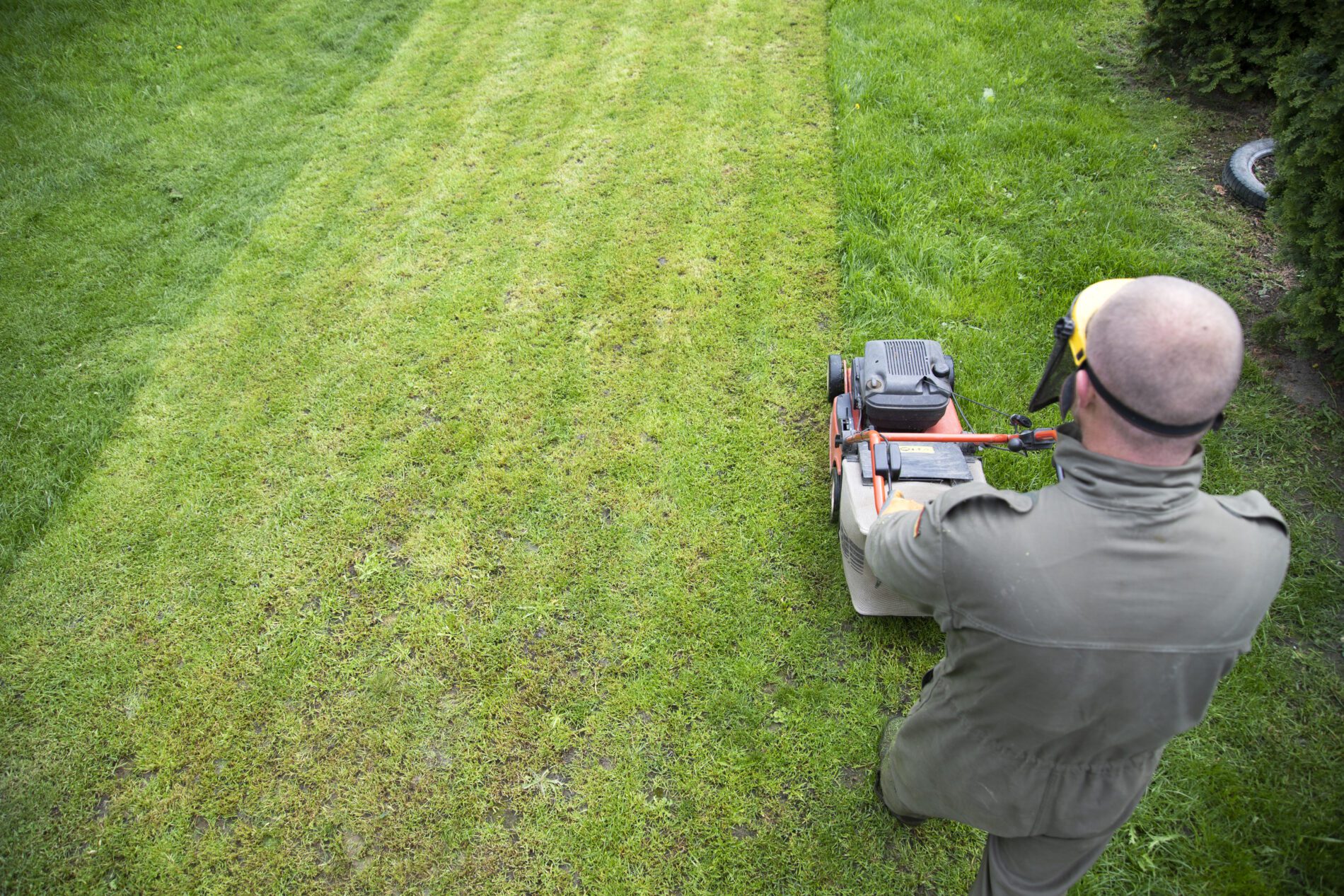 lawn-regularly-11-basic-lawn-care-tips-my-neighbor-services