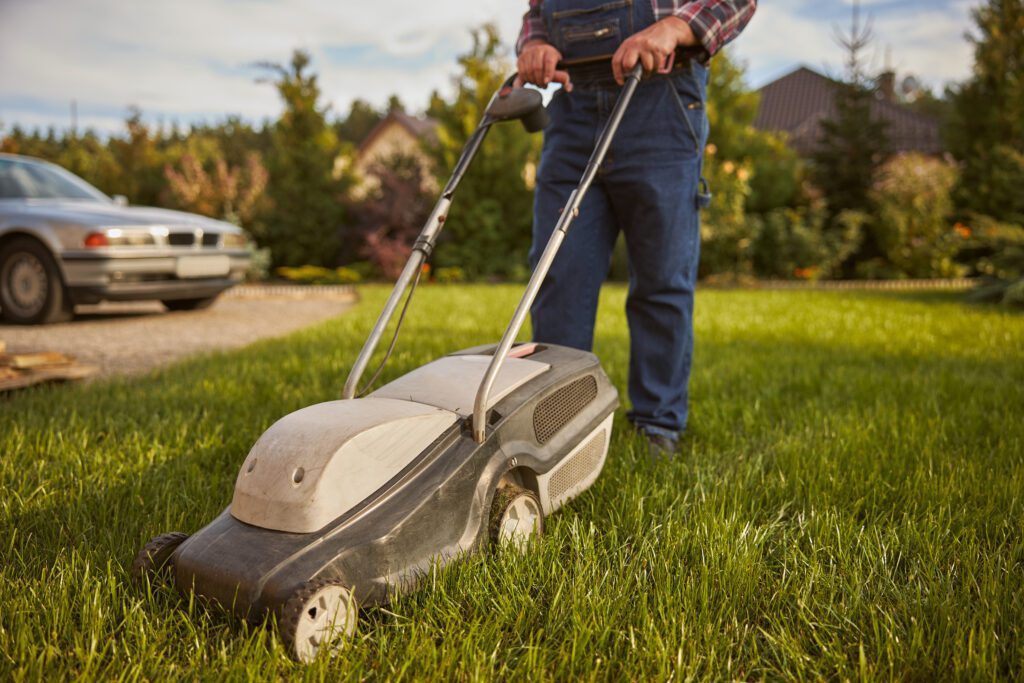 5 Ways Best Lawn Care Service Can Make Your Life Easier