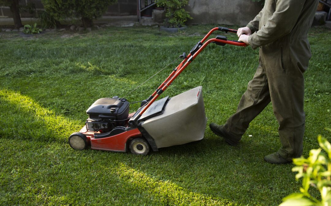 Lawn Care Service And The Benefits Of Using A Professional