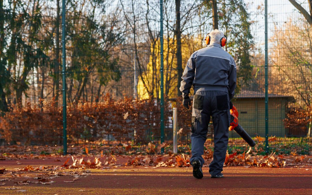 Deep Leaf Clean Up and it’s Importance As Fall Approaches