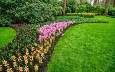 When is the Best Time for Allen Lawn Care and Landscaping?