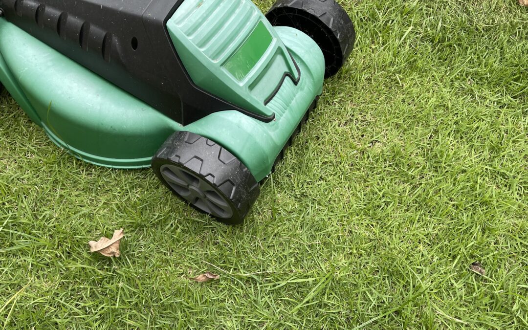 Making The Decision To Hire A Professional Lawn Care Services