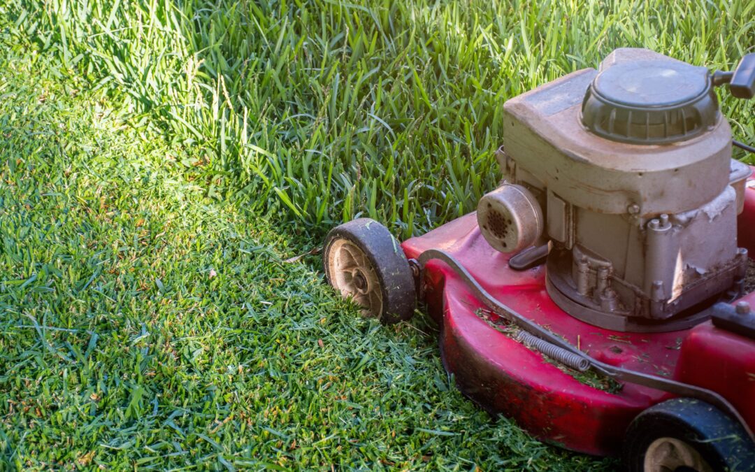 Mowing The Lawn: 5 Tips To Keep Your Yard Looking Its Best