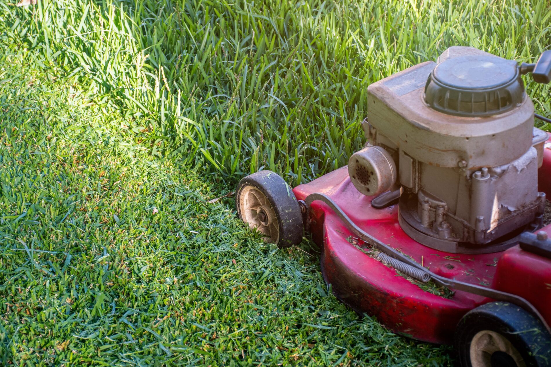 Mowing The Lawn: 5 Tips To Keep Your Yard Looking Its Best