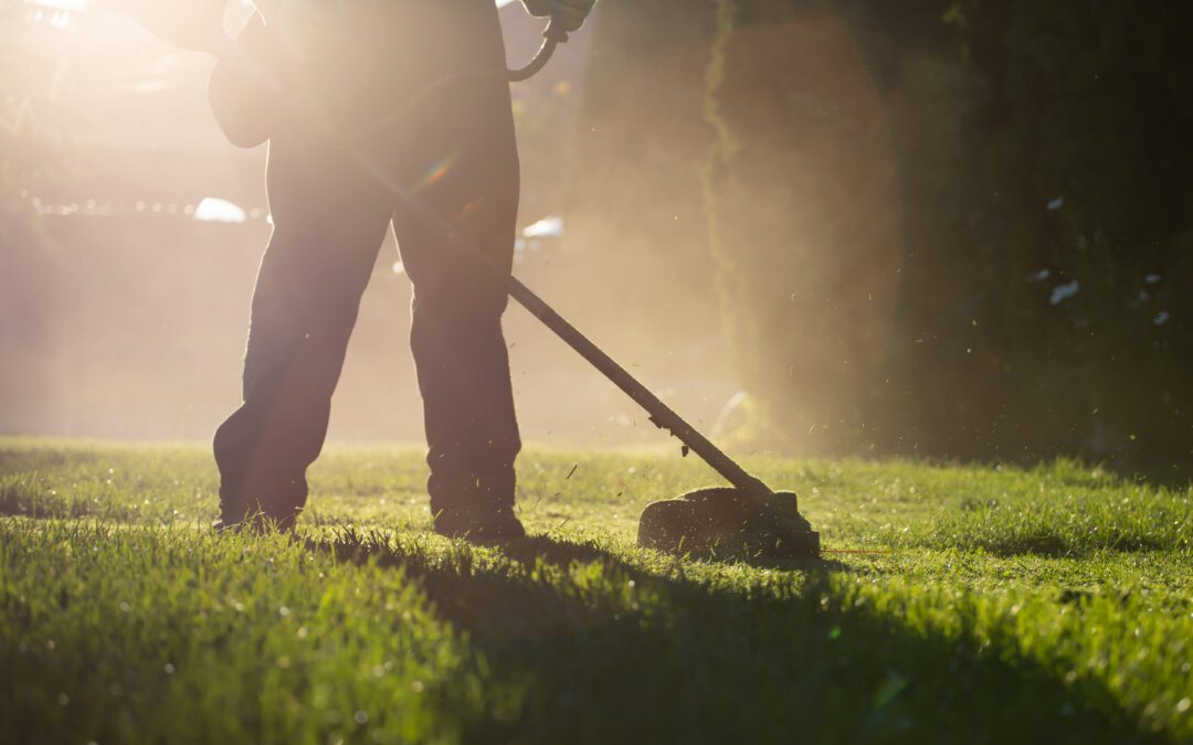 The Benefits of Hiring A Lawn Company