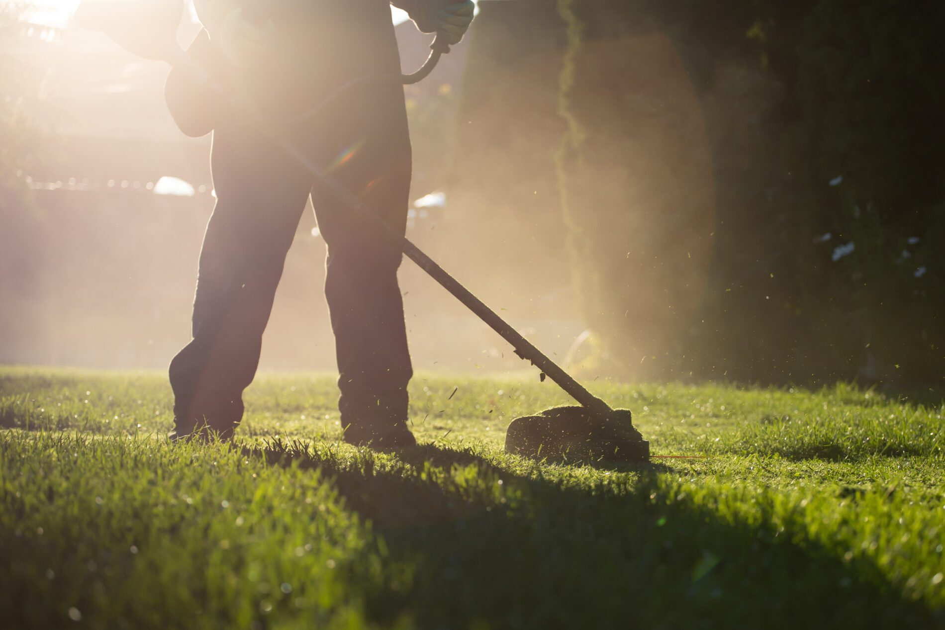 best-benefits-of-hiring-a-lawn-company-my-neighbor-services