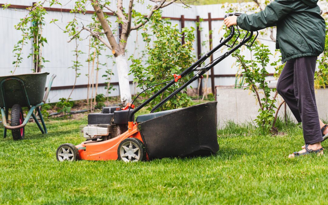 The Top 10 Reasons To Hire A Lawn Care Company