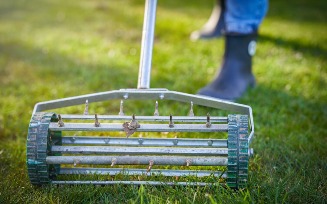 The Ultimate Guide to Achieving Healthy Lawn Maintenance Tips