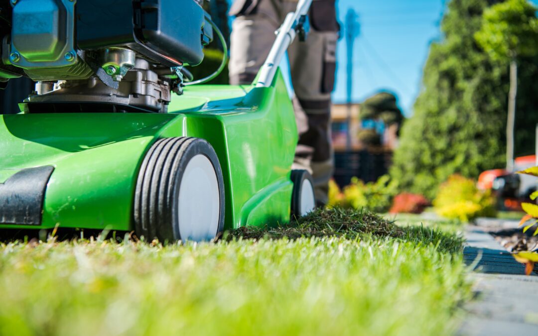 Why You Should Always Hire A Professional Lawn Care Company