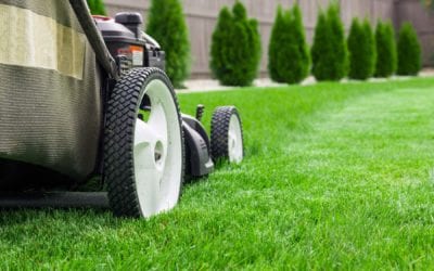 Lawn Care Services Allen, TX