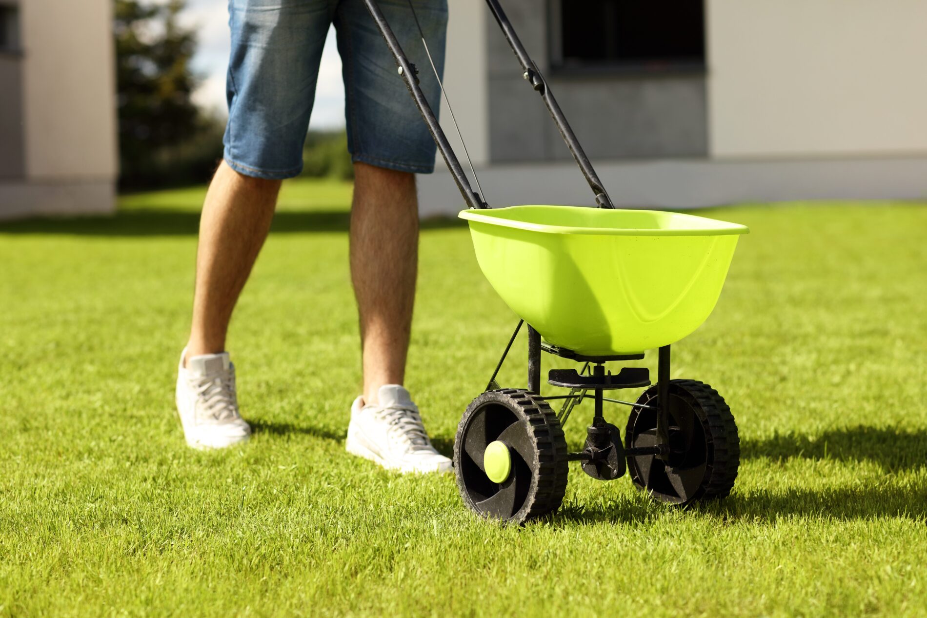 Lawn Mowing 101: The Basics of Making a Lawn Perfect