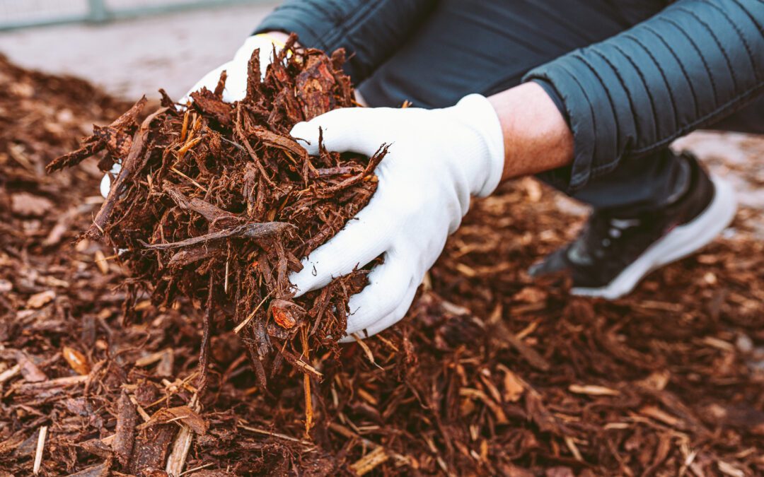 Mulches: What Is It And How Do You Get The Best Results?