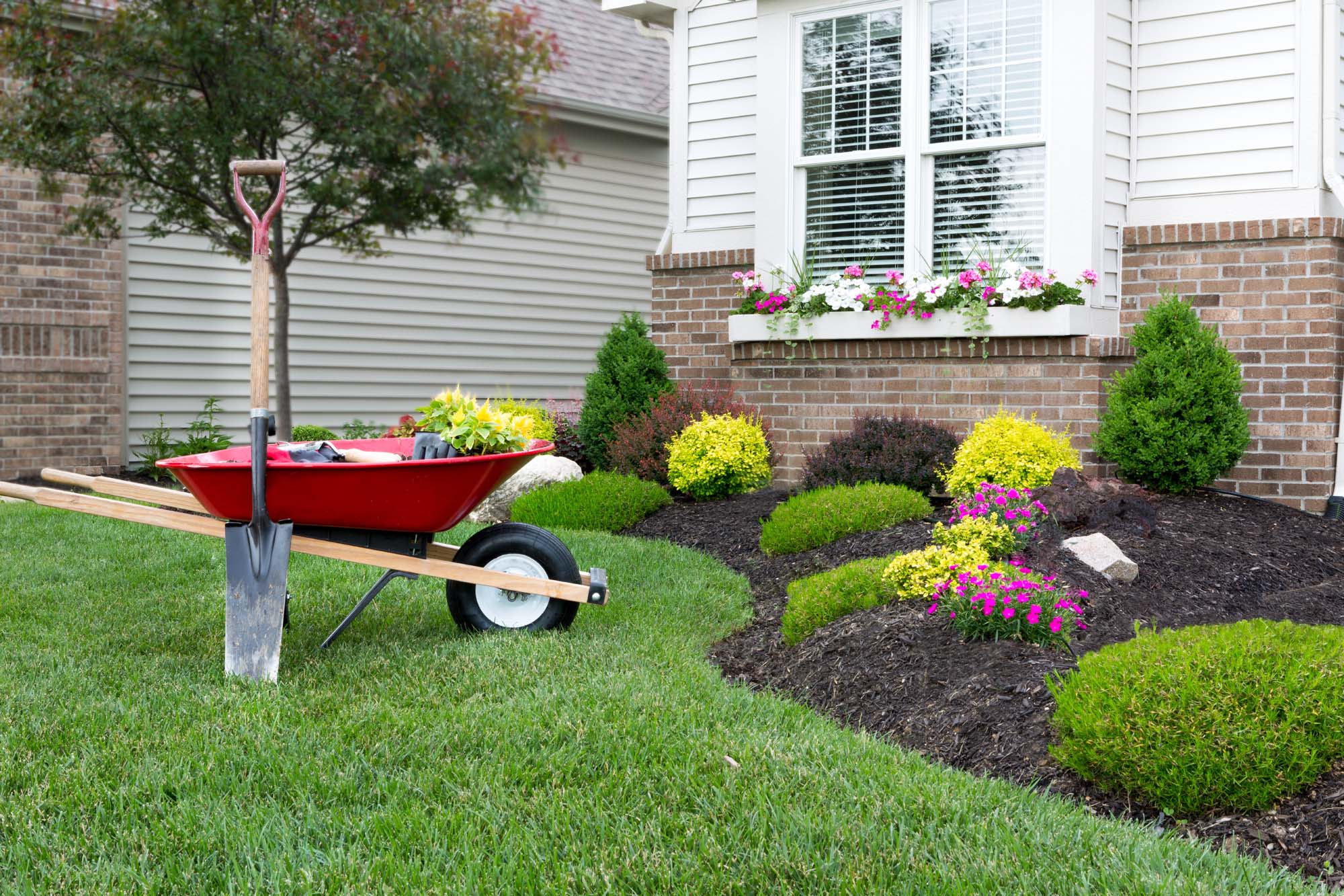 Landscaping Services Near Me My Neighbor Services