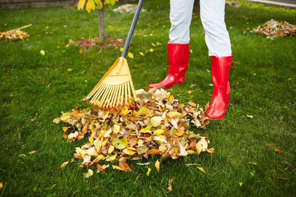 Top-rated leaf cleanup services with customer reviews