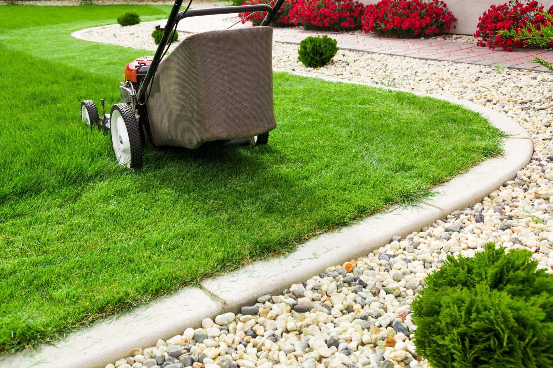 lawn mowing2