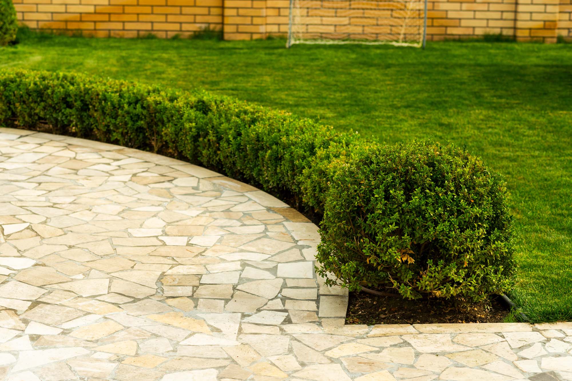 shrub service