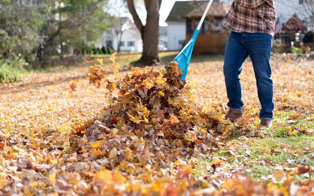 How To Find The Best Leaf Raking Service In Your Area