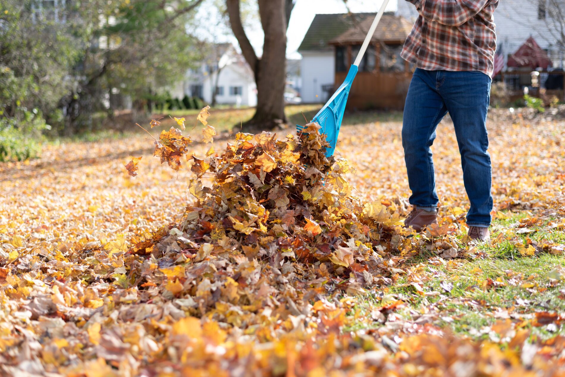 the-no-1-best-leaf-raking-service-my-neighbor-services