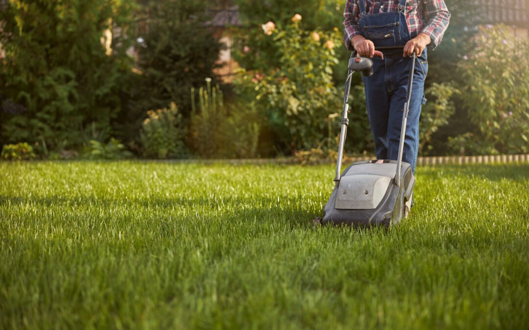 Long-Term Lawn Care: Advice from Gardeners Experienced