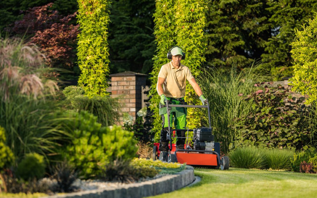 Why Hiring a Professional Lawn Service Is Worth Every Penny