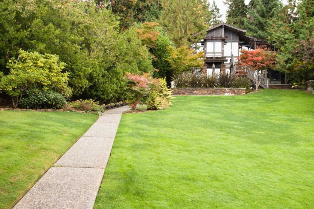 Acreage Mowing Unleashed: Maximize Your Property's Potential