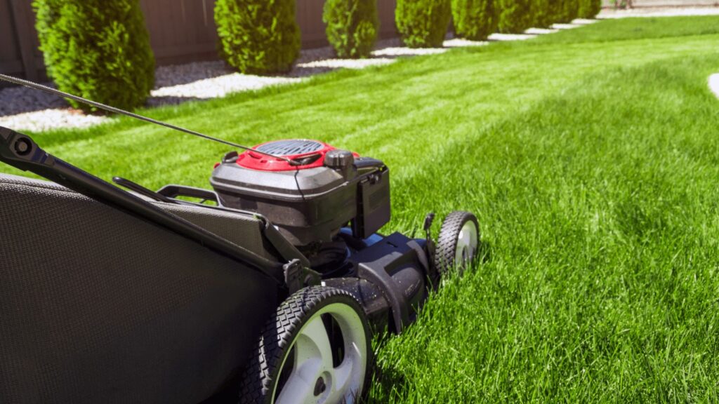 Affordable Lawn Mowing Services Creating Yard Elegance