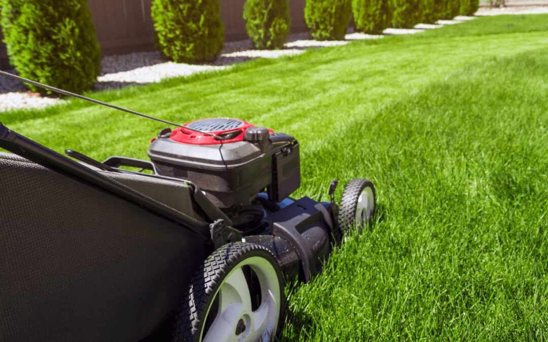 Affordable Lawn Mowing Services: Creating Yard Elegance