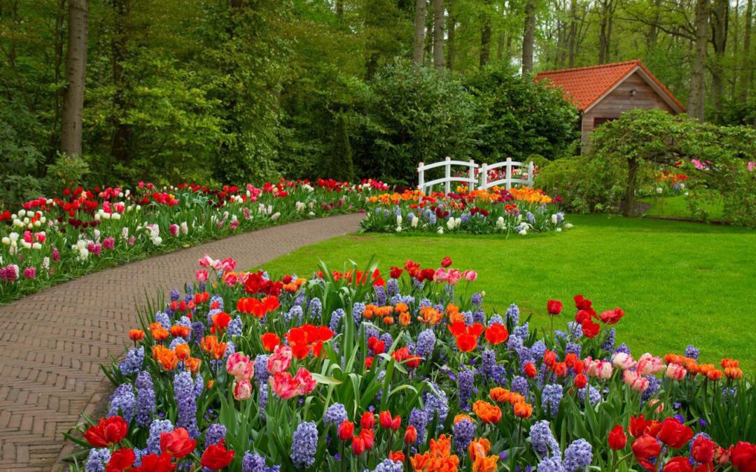 Lucas TX Landscaping Services: How Often Should You Schedule Lawn Care?