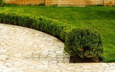 Best Shrub Service in Texas - My Neighbor Services Best Shrub Service in Texas - My Neighbor Services