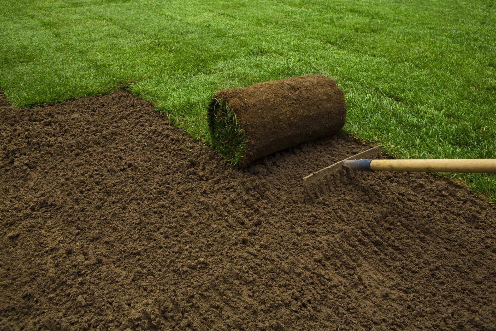 Best Sod Installation Service in Texas - My Neighbor Services Best Sod Installation Service in Texas - My Neighbor Services
