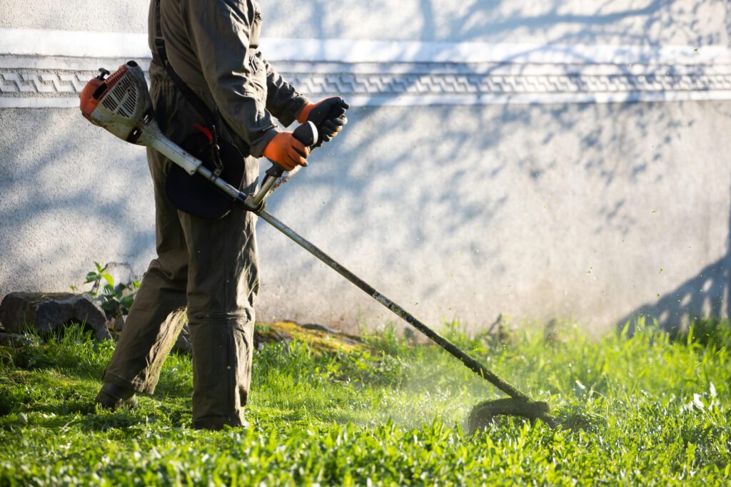 How to Choose the Right Cut Grass Service for Your Lawn