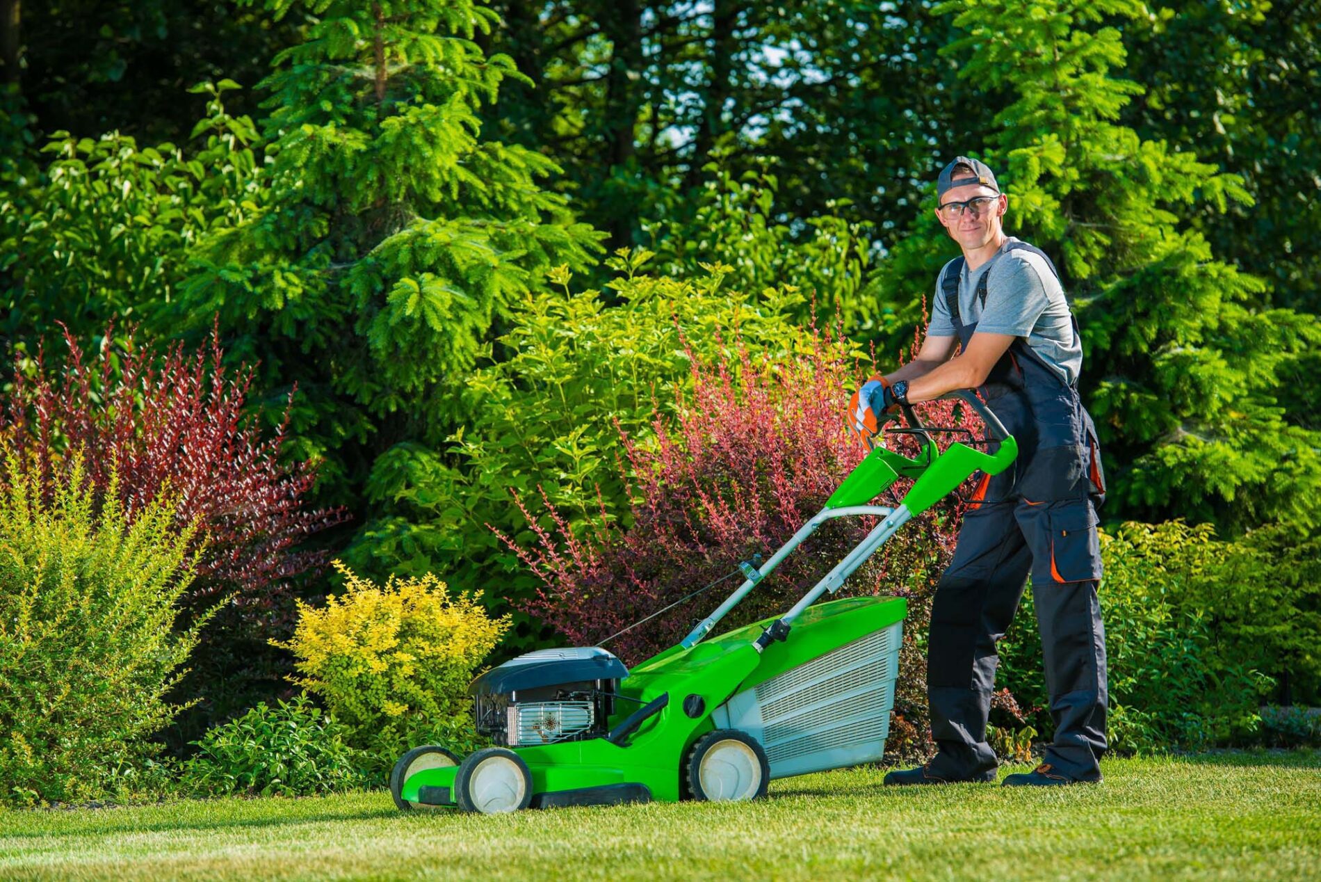 Lawn Care Services Allen TX - My Neighbor Services Lawn Care Services Allen TX - My Neighbor Services