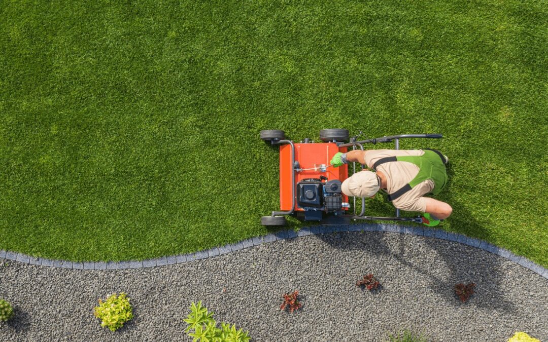 Lawn Mowing Repair Near Me: 5 Common Grass Cutting Issues