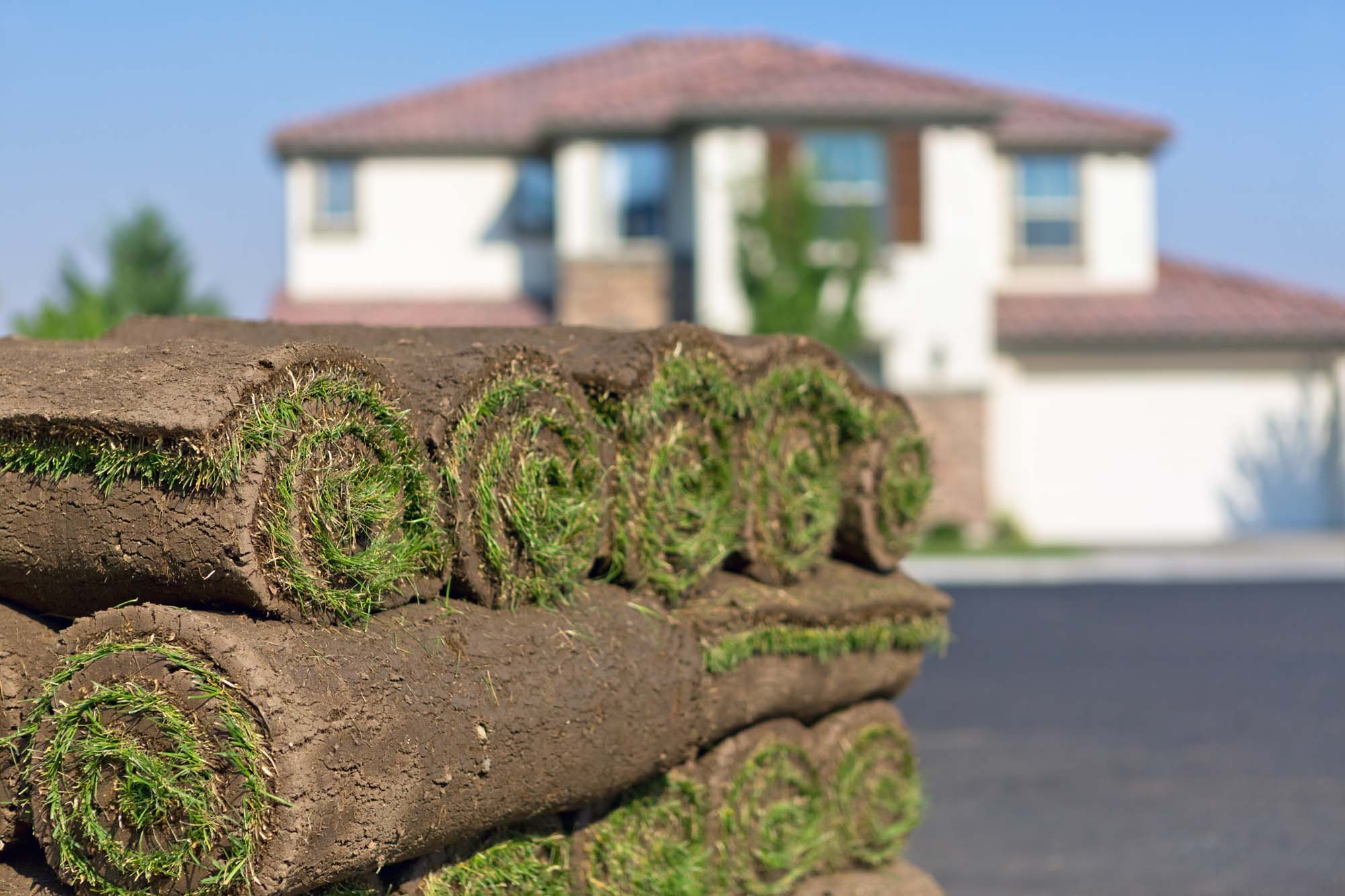Weekly Mowing Service in Tx - My Neighbor Services Weekly Mowing Service in Tx - My Neighbor Services